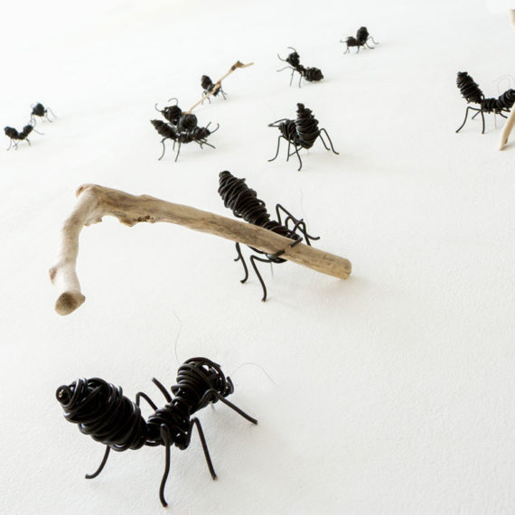 Σύνθεση με μυρμήγκια