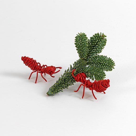Christmas ants made from red coated wire holding onto a fir stick